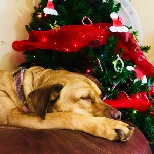 Meet your Posher, Jerry